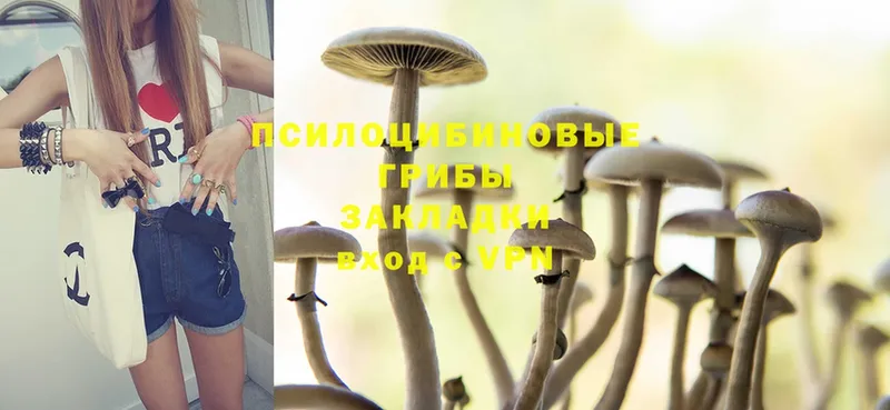 Псилоцибиновые грибы MAGIC MUSHROOMS  закладка  Будённовск 